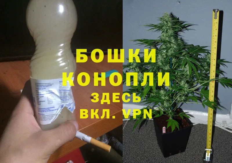 продажа наркотиков  Кириллов  MEGA онион  Марихуана Ganja 